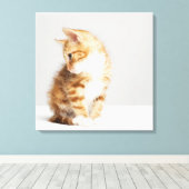 Ginger Kitten Leinwanddruck (Insitu (Holzboden))