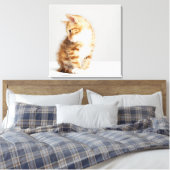 Ginger Kitten Leinwanddruck (Insitu (Schlafzimmer))