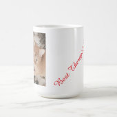 Ginger kitten photo, best therapist,  verwandlungstasse (Zentrum)