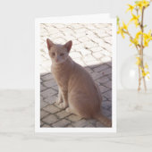 Ginger Kitten Portrait Karte (Gelbe Blume)