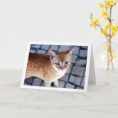 Ginger Kitten Portrait Karte (Gelbe Blume)