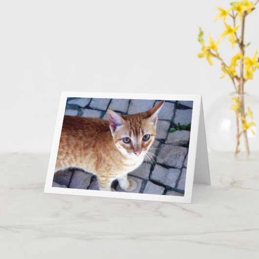 Ginger Kitten Portrait Karte (Gelbe Blume)