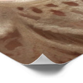 Ginger Kitten Sleeping (Shabby Chic) Poster (Ecke)