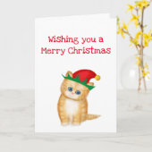 Ginger Kitten wünscht Ihnen eine fröhliche Weihnac Karte (Gelbe Blume)