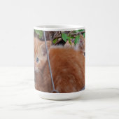 Ginger Kitts Kaffeetasse (Mittel)