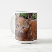 Ginger Kitts Kaffeetasse (Vorderseite Links)