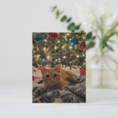 Ginger Kitty unterm Weihnachtsbaum Postkarte (Stehend Vorderseite)