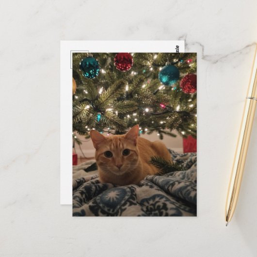 Ginger Kitty unterm Weihnachtsbaum Postkarte (Vorderseite/Rückseite Beispiel)