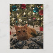 Ginger Kitty unterm Weihnachtsbaum Postkarte (Vorderseite)