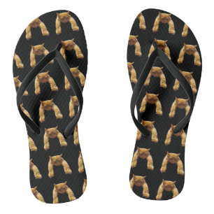 Ginger Lazy Cat, Flip Flops Badesandalen