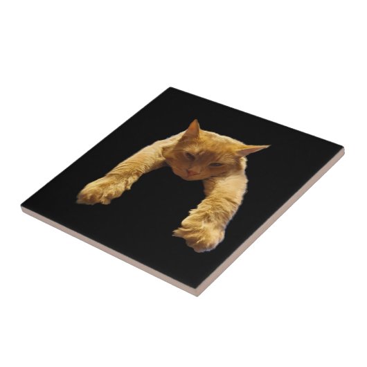 Ginger Lazy Cat, Keramik Tile Fliese (Seite)