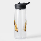 Ginger Lazy Cat, Wasserflasche Trinkflasche (Links)