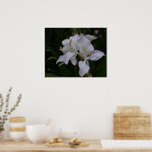 Ginger Lily-0105 Poster (Küche)