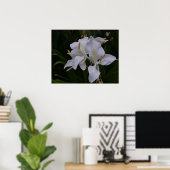 Ginger Lily-0105 Poster (Heimbüro)