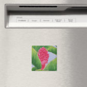 Ginger Magnet (In Situ (Geschirrspüler))