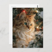 Ginger Maine Coon Christmas Postkarte (Vorne/Hinten)
