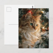 Ginger Maine Coon Weihnachten Postkarte (Vorne/Hinten)