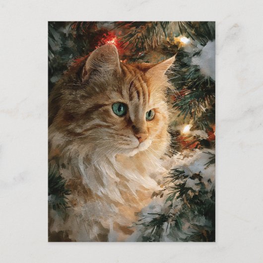 Ginger Maine Coon Weihnachten Postkarte (Vorderseite)