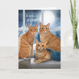 Ginger Orange Tabby Cat Frohe Weihnachten