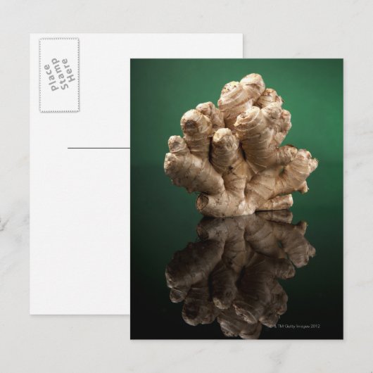 Ginger Postkarte (Vorne/Hinten)