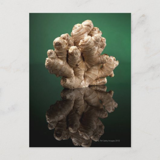 Ginger Postkarte (Vorderseite)