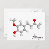 Ginger Postkarte (Vorne/Hinten)