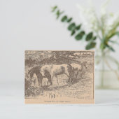 Ginger sagte uns diese Dinge Postkarte (Stehend Vorderseite)