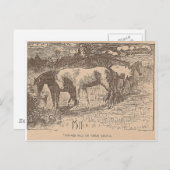 Ginger sagte uns diese Dinge Postkarte (Vorne/Hinten)