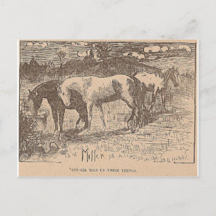 Ginger sagte uns diese Dinge Postkarte