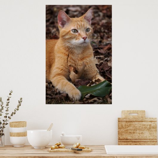 Ginger Shorthair Cat Herbstlaubs Portrait Poster (Küche)