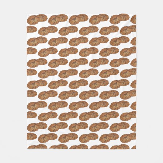 Ginger Snaps Gingernap Biscuit Ginger Nut Cookies Fleecedecke (Vorderseite)