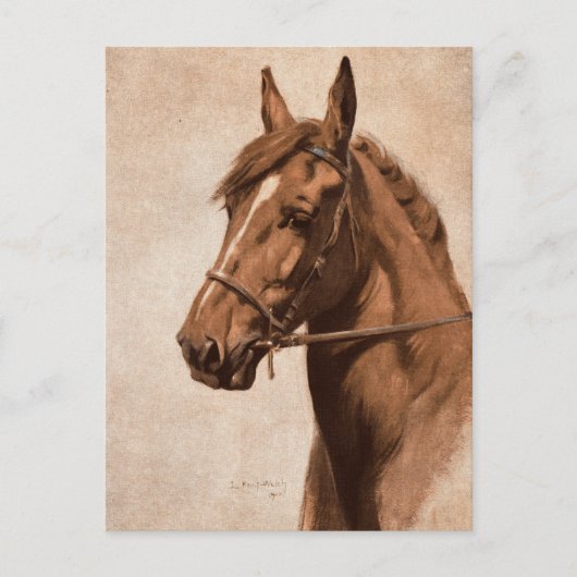 Ginger Sorrel Horse Black Beauty book Kemp-Welch Postkarte (Vorderseite)