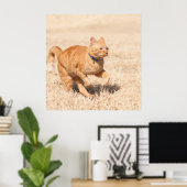 Ginger Speed Poster (Heimbüro)