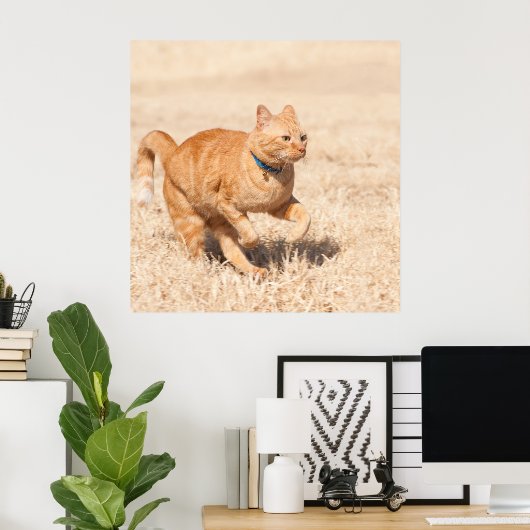 Ginger Speed Poster (Heimbüro)
