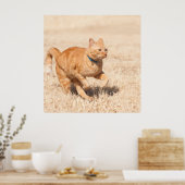 Ginger Speed Poster (Küche)