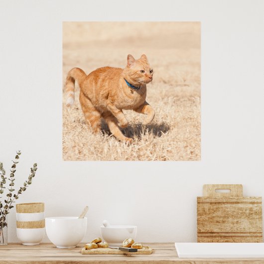Ginger Speed Poster (Küche)