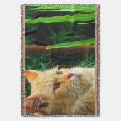 Ginger Tabby Cat Mediation Decke (Vorderseite Vertikal)