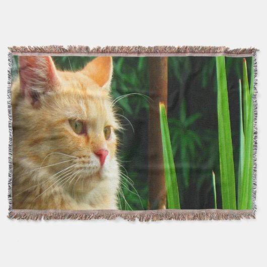 Ginger Tabby Cat Mediation Decke (Vorderseite)