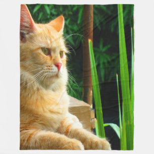 Ginger Tabby Cat Mediation Fleecedecke