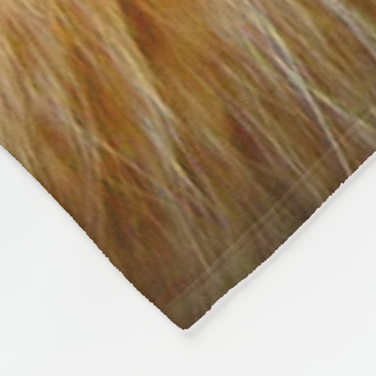 Ginger Tabby Cat Mediation Fleecedecke (Ecke)