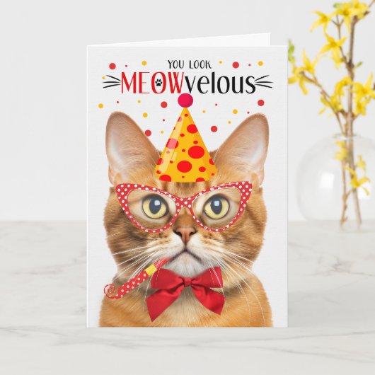 Ginger Tabby Cat MEOWvelous Geburtstag Karte (Gelbe Blume)