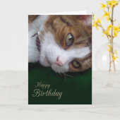 Ginger Tabby Cat Personalizable Happy Birthday Karte (Gelbe Blume)