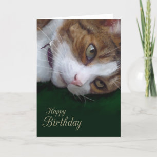 Ginger Tabby Cat Personalizable Happy Birthday Karte