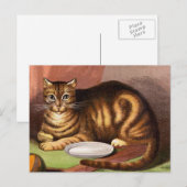 Ginger Tabby Cat Vintag Illustration Postkarte (Vorne/Hinten)