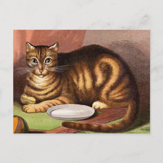 Ginger Tabby Cat Vintag Illustration Postkarte (Vorderseite)
