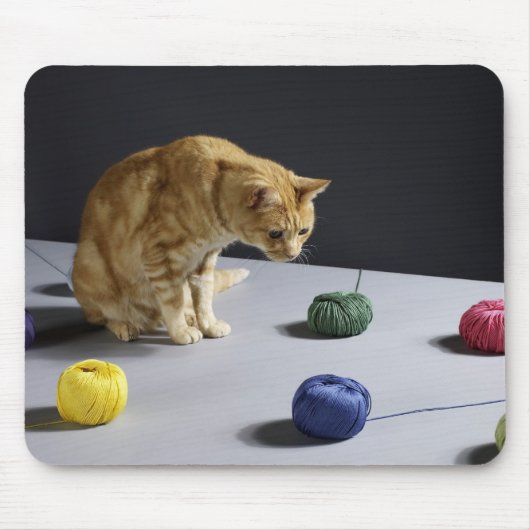 Ginger Tabby Katze sitzend auf Tisch Mousepad (Vorne)