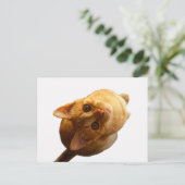 Ginger Tabby Kitten Postkarte (Stehend Vorderseite)