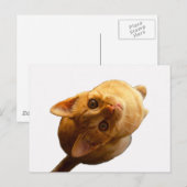 Ginger Tabby Kitten Postkarte (Vorne/Hinten)
