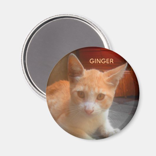 Ginger Tabby Kitty Cat Magnet (Vorderseite/Rückseite)