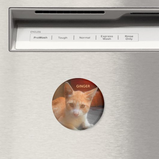 Ginger Tabby Kitty Cat Magnet (In Situ (Geschirrspüler))